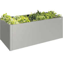 Rektangulär metallplanteringslåda planterad med sallad