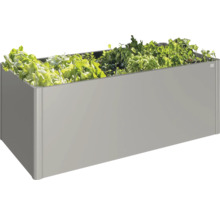 Hög bänk med sallad och örter