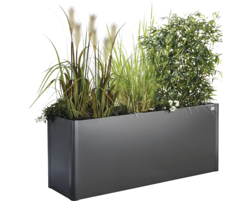 Rektangulär planteringslåda med prydnadsväxter