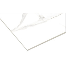 Keramisk platta med marmorutseende