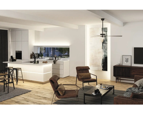 Vardagsrum med takfläkt, sittmöbler och pentry