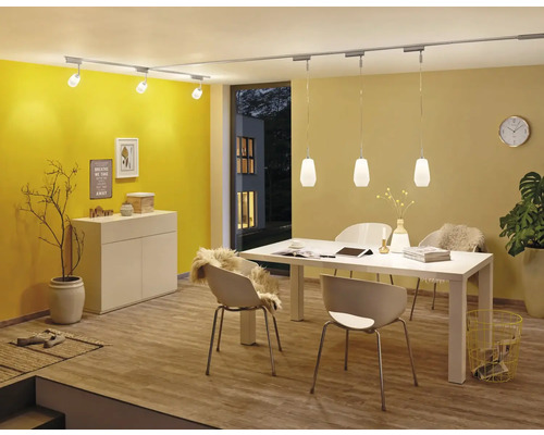 Matsal med matbord, stolar, skåp, krukväxt, matta, väggklocka, taklampa och skensystem