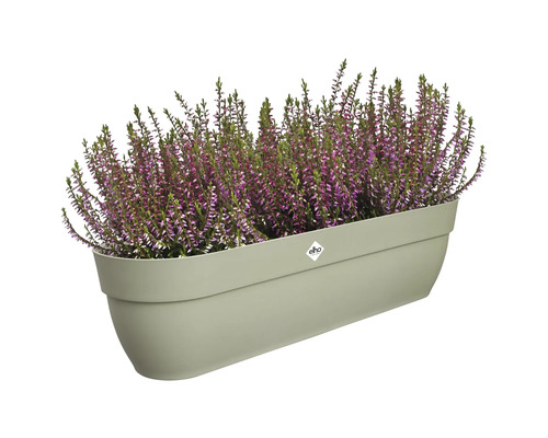 Rektangulär planteringslåda planterad med ljung