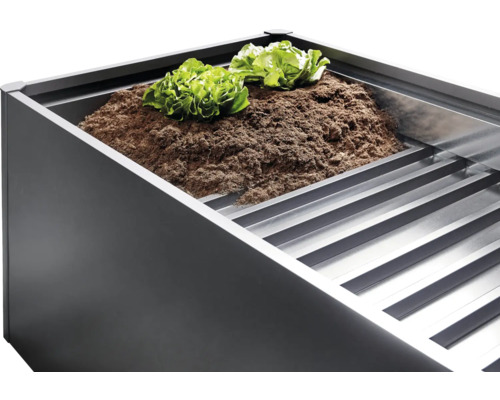 Pallkrage med jord och salladsplantor