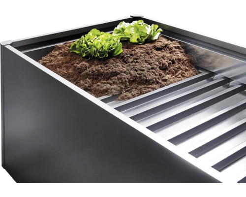 Pallkrage med jord och salladsplantor