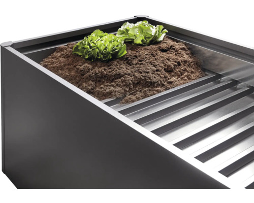 Hög rabatt med jord och salladsplantor