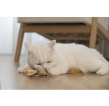 En vit katt ligger på golvet med en kattleksak.