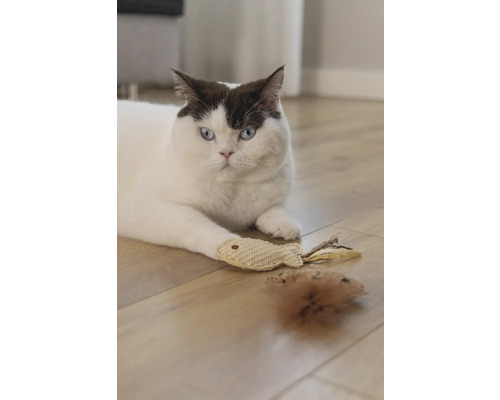 En katt ligger med leksaksmus och leksaksfisk på ett trägolv.