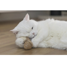 Vit katt ligger med leksak på golvet