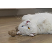 Vit katt ligger på rygg med kattleksak