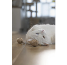 En vit katt med olika ögon och kattleksaker på ett trägolv