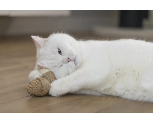 En vit katt ligger på golvet och leker med en kattleksak.