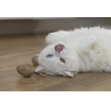 En vit katt ligger på rygg och räcker ut tungan, med en leksak bredvid sig.