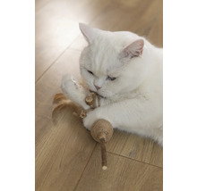 Vit katt leker med kattleksak på trägolv