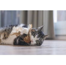 Lekfull katt ligger på golvet och leker med en boll gjord av naturmaterial och fjädrar.