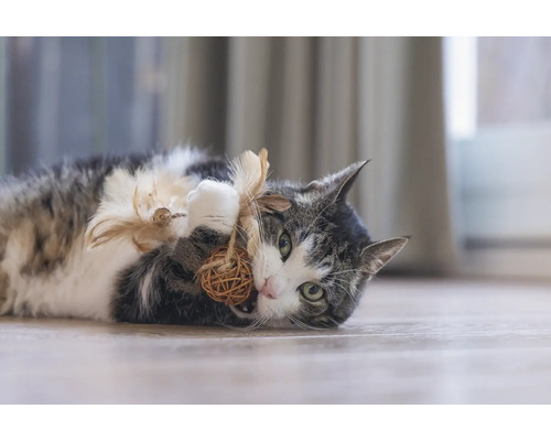 Lekfull katt ligger på golvet och leker med en boll gjord av naturmaterial och fjädrar.