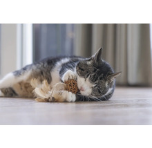 Katt ligger på golvet och leker med en leksak.