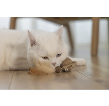 Vit katt ligger med leksak på golvet.