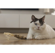 En katt ligger på golvet med en kattleksak.