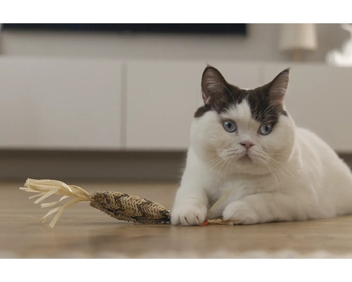 En katt ligger på golvet med en kattleksak.