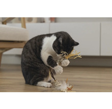 Katt leker med kattleksak