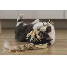 Katt leker med leksak på golvet