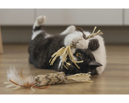 Katt leker med leksak på golvet