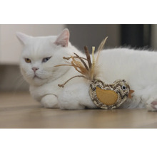 Vit katt ligger med fågelleksak