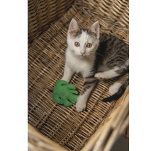 En katt ligger i en flätad korg och leker med ett grönt leksaksblad.