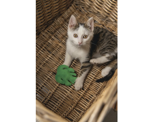 En katt ligger i en flätad korg och leker med ett grönt leksaksblad.