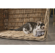 En katt vilar i en flätad kattkorg och håller i en leksak