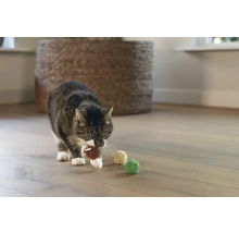 En tabbykatt bär en leksaksboll i munnen, med fler leksaksbollar på ett trägolv.