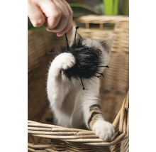 Katt som leker med kattleksak i en korg