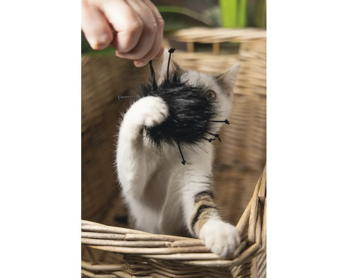 Katt som leker med kattleksak i en korg