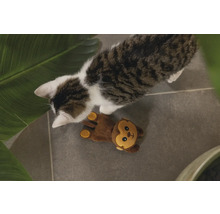 Katt med apa leksak på golvet