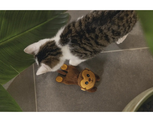 Katt med apa leksak på golvet