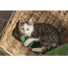 En randig katt med en leksaksorm i en korg.