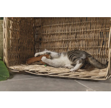 Katt leker med en leksak i en korg