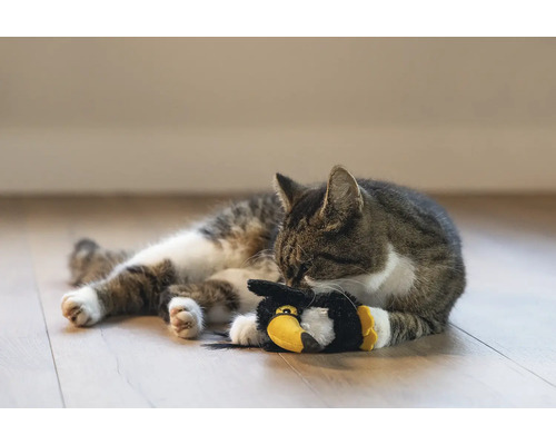 Brindle katt ligger med leksak på golvet.