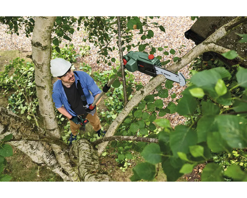 Man med hjälm och säkerhetsutrustning använder en Bosch stångsåg i ett träd.