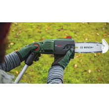 En person håller i en Bosch UniversalChainPole 18 batteridriven kedjesåg.