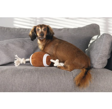 Tax sitter med leksaksfotboll på en grå soffa.