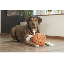 En hund ligger med en leksaksboll på golvet.