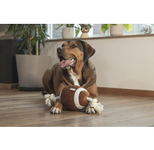 Hund ligger med en leksaksfotboll på golvet