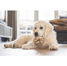 En hund ligger med en leksak av rep på golvet.