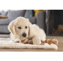 En ljus Golden Retriever-valp ligger på en matta och tuggar på en leksak av rep.