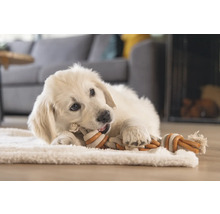 En golden retriever-valp ligger på en matta och tuggar på en leksak av rep.