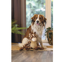 Hund sitter med en giraffplyschleksak på en matta