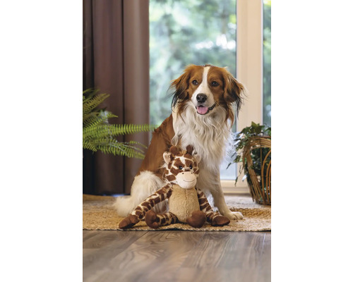 Hund sitter med en giraffplyschleksak på en matta