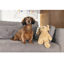 Tax sitter bredvid ett gosedjur i en soffa.